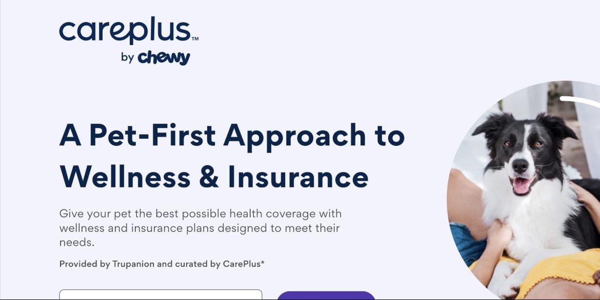 Care plus by chewy pet insurance