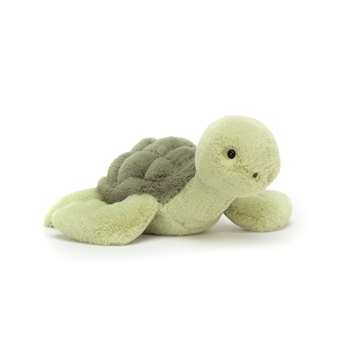 Jelly cat turtle