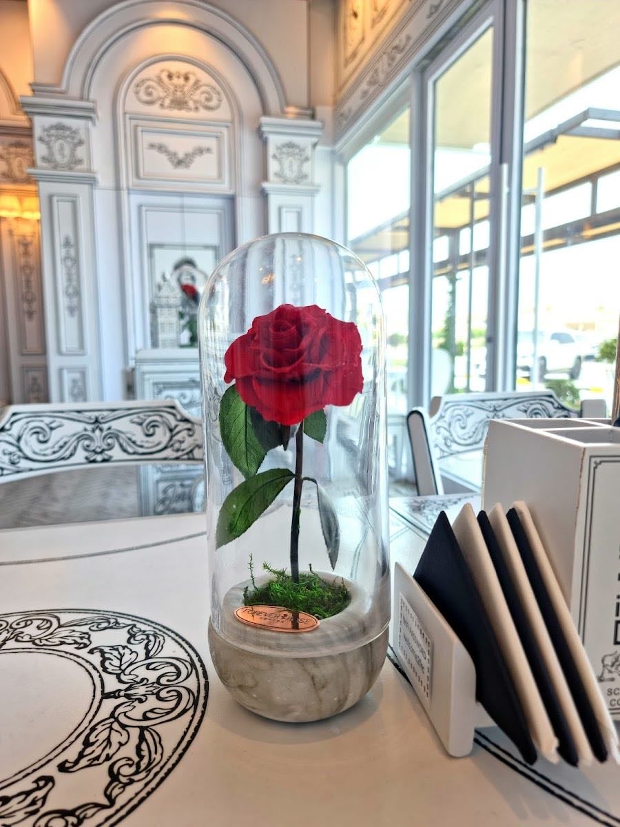 Forever Rose London