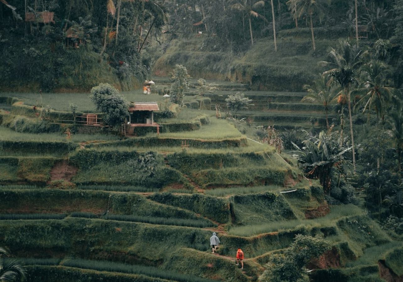 Thailand & Indonesia