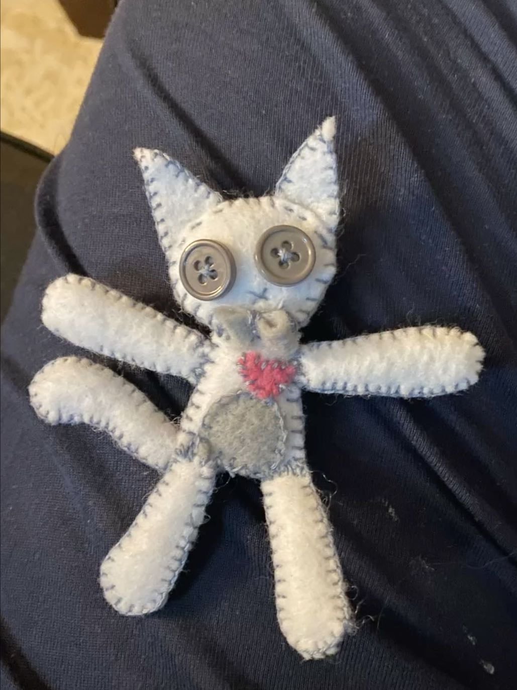 cat