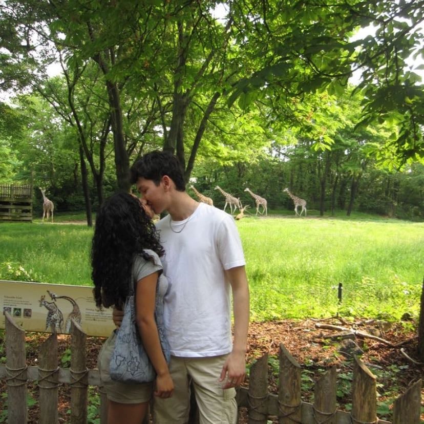 zoológico