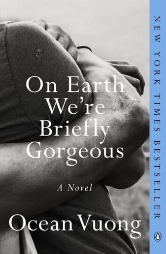 On Earth We're Briefly Gorgeous - Ocean Vuong · 2019