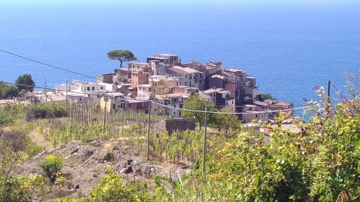 Cinque Terre - 2014