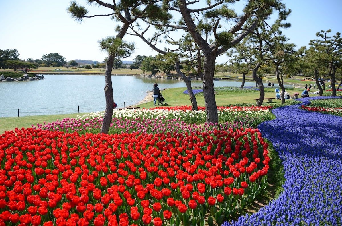 Uminonakamichi Seaside Park