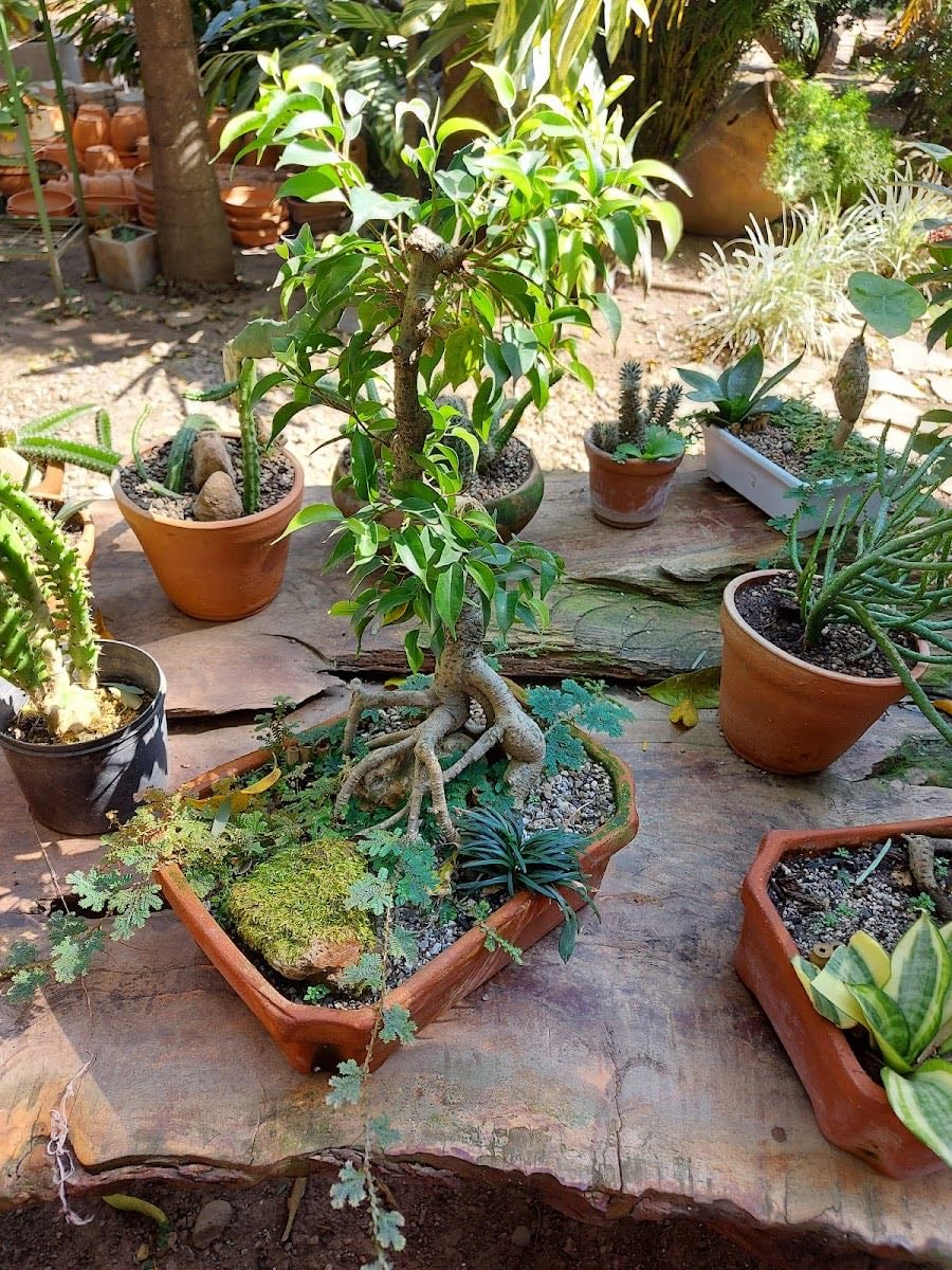 Yvaga Guazú Ecological Park