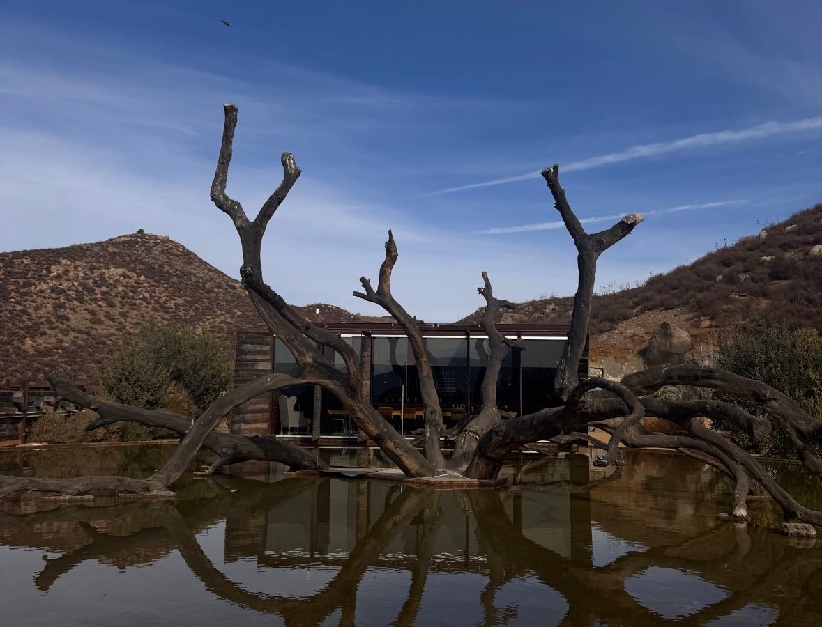 Valle de Guadalupe