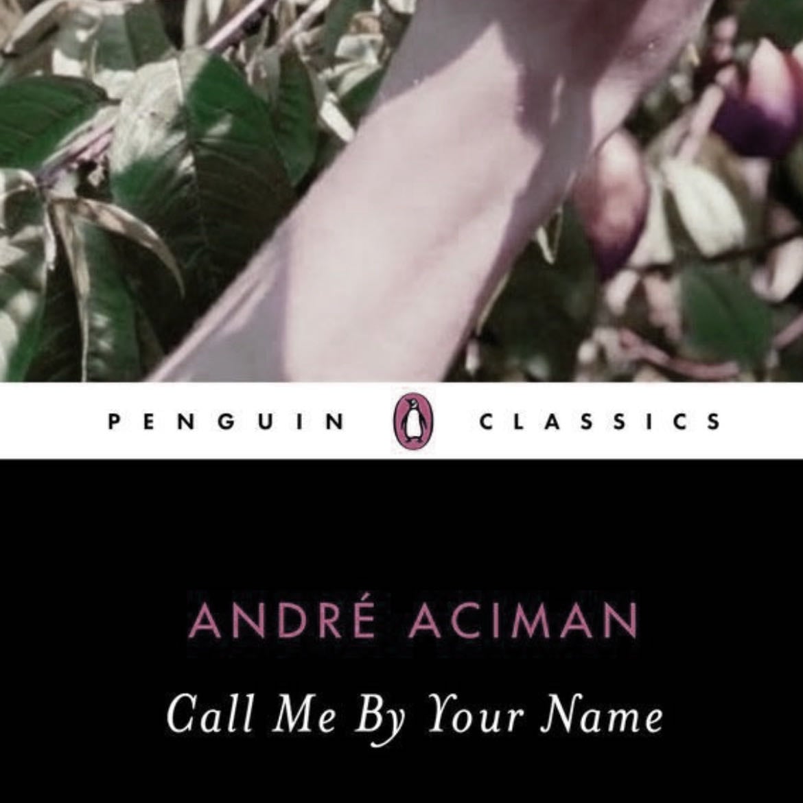 call me by your name - André Aciman · 2017