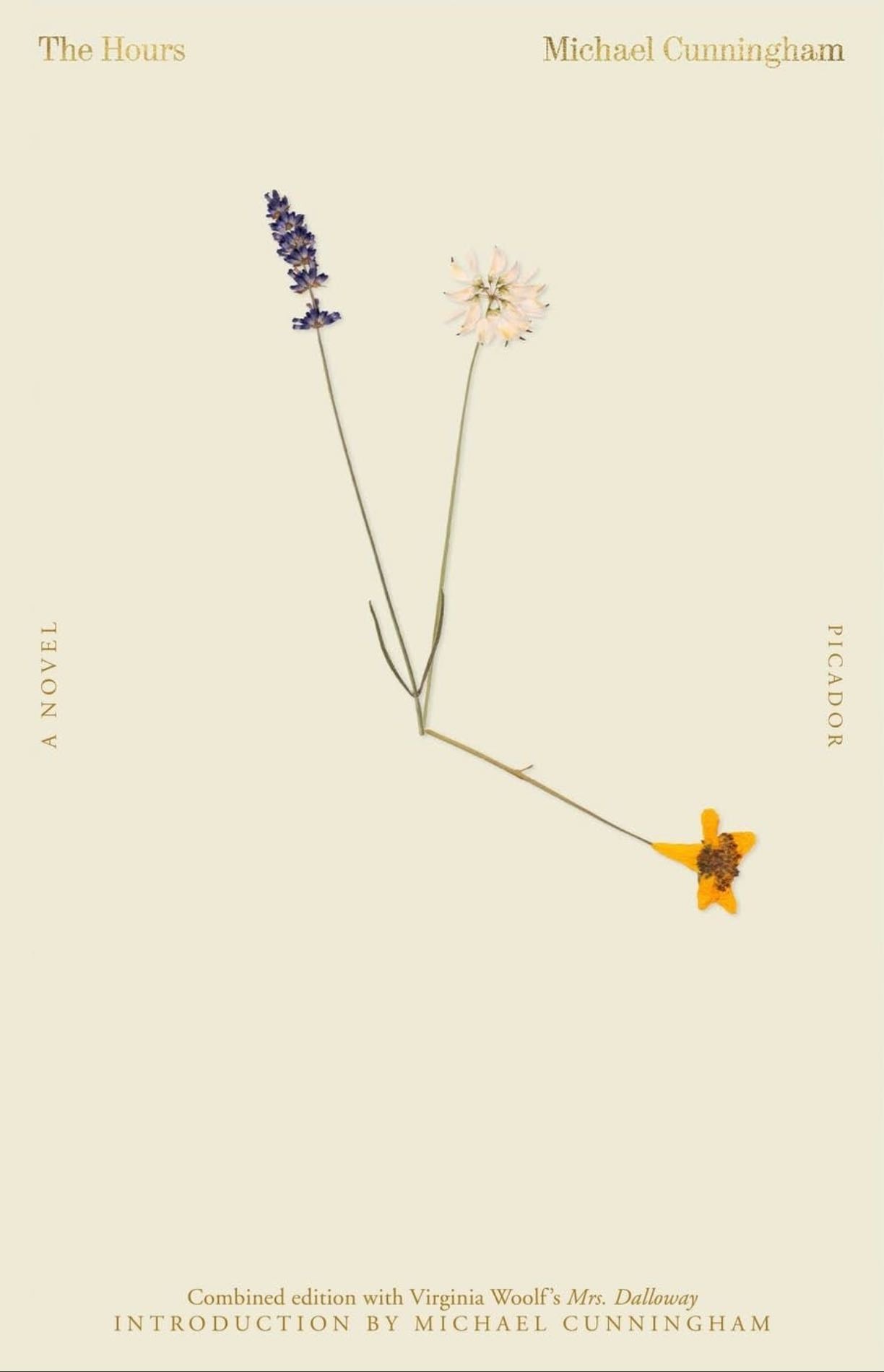 The Hours - Michael Cunningham