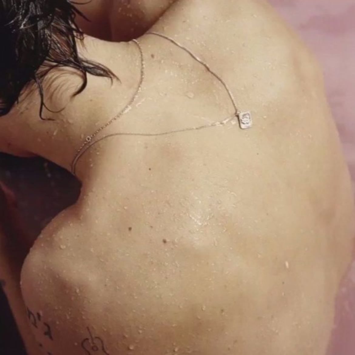 sweet creature