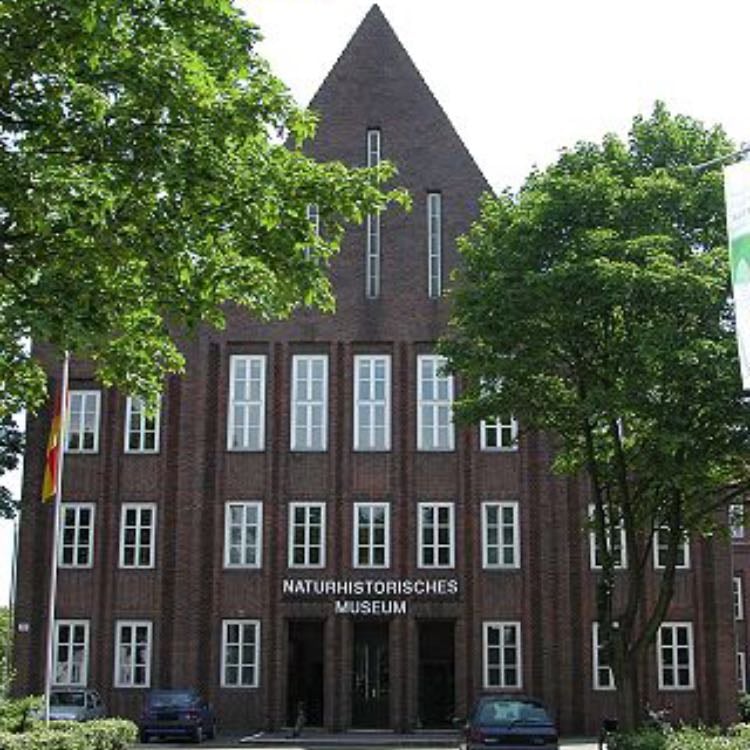 Braunschweig museum