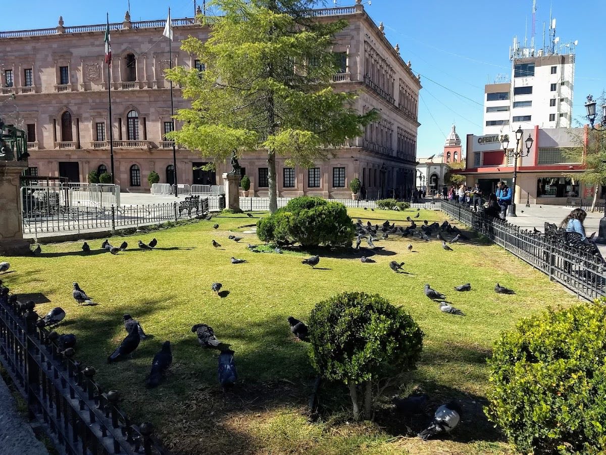 Saltillo
