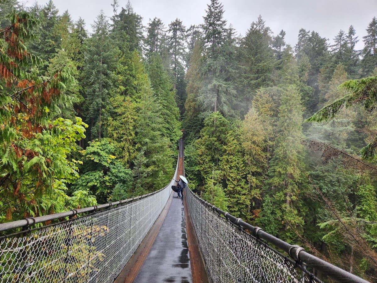 Capilano Suspension Bridge Park