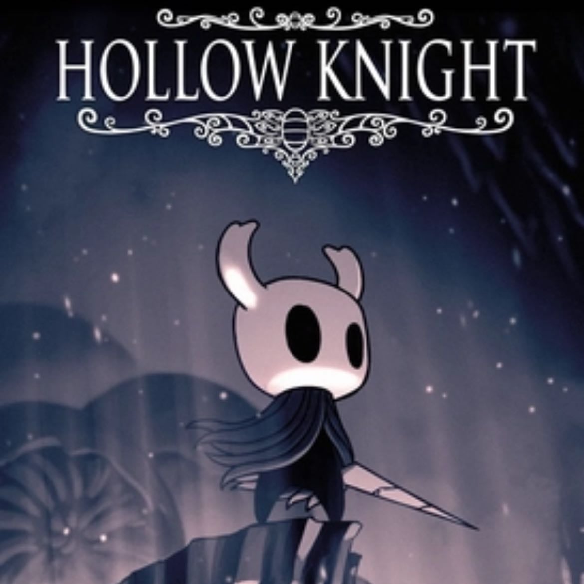 Hollow knight
