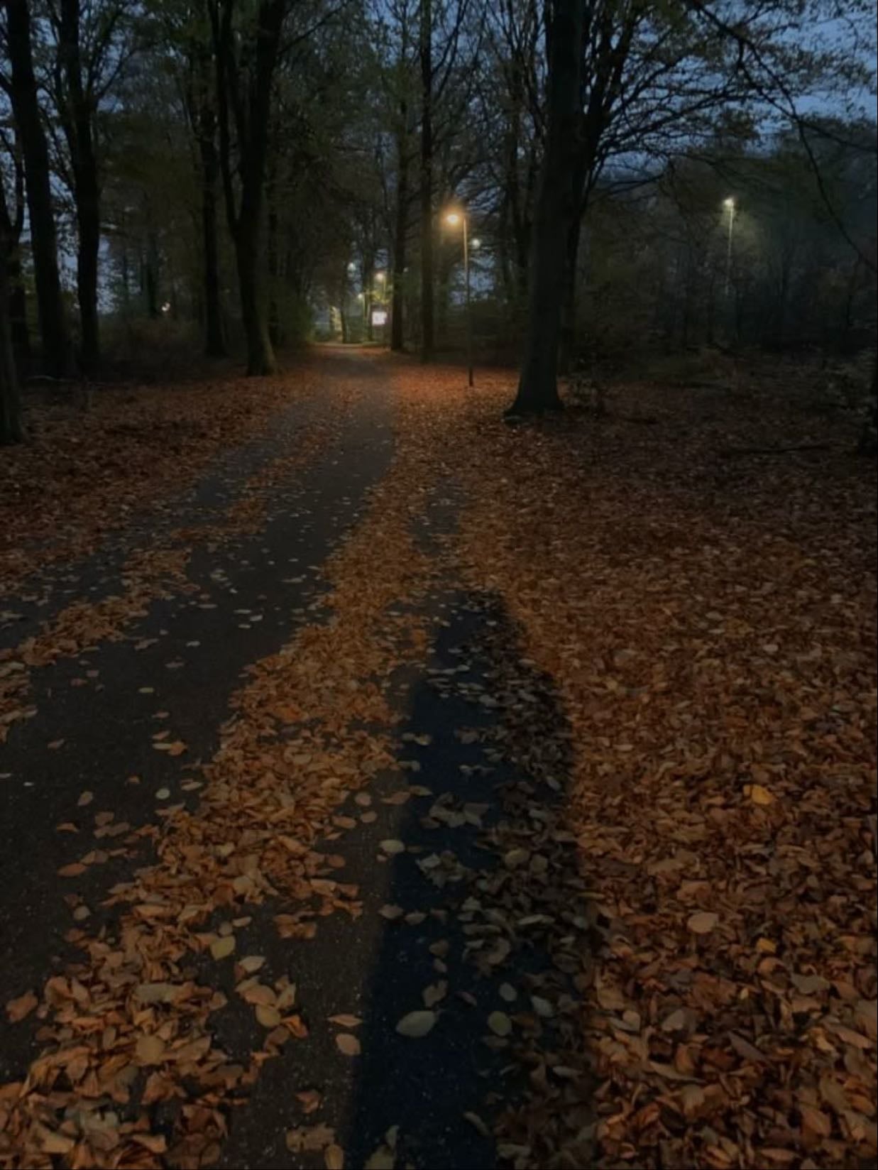 fall walk - smell all the leaves on the ground with a crisp breeze blowing in your hair