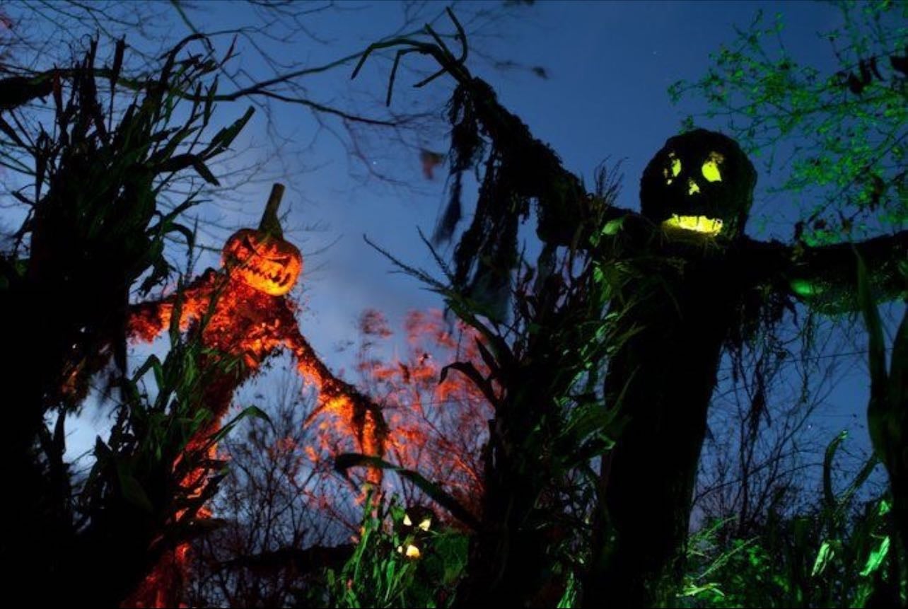 haunted trails - a great way to get scared