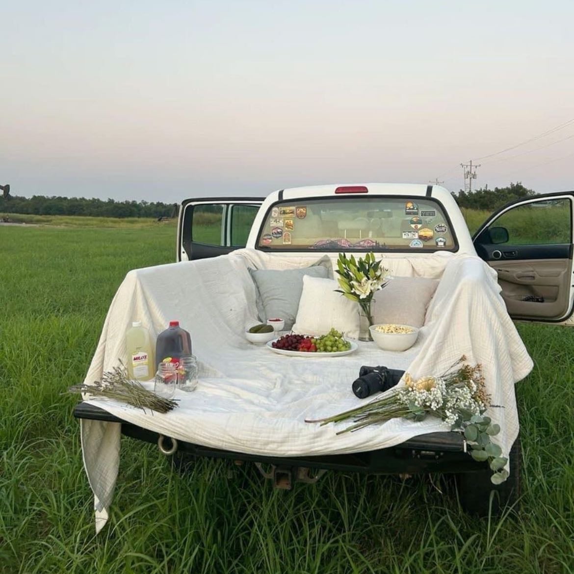 Picnic in a truck