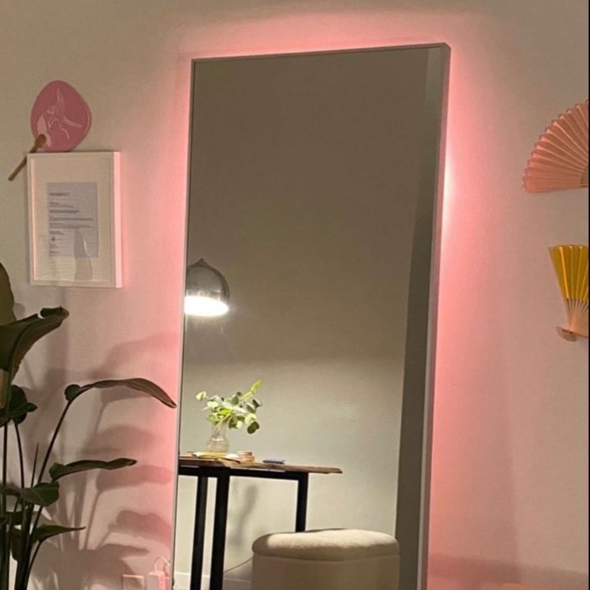 led lights in the back