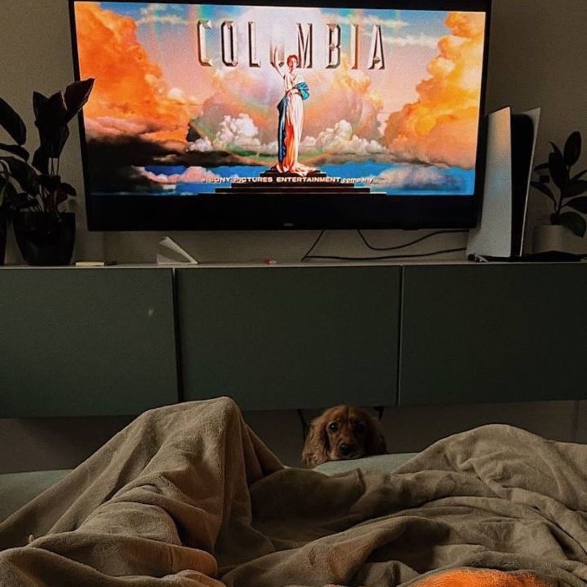 Movie in bed
