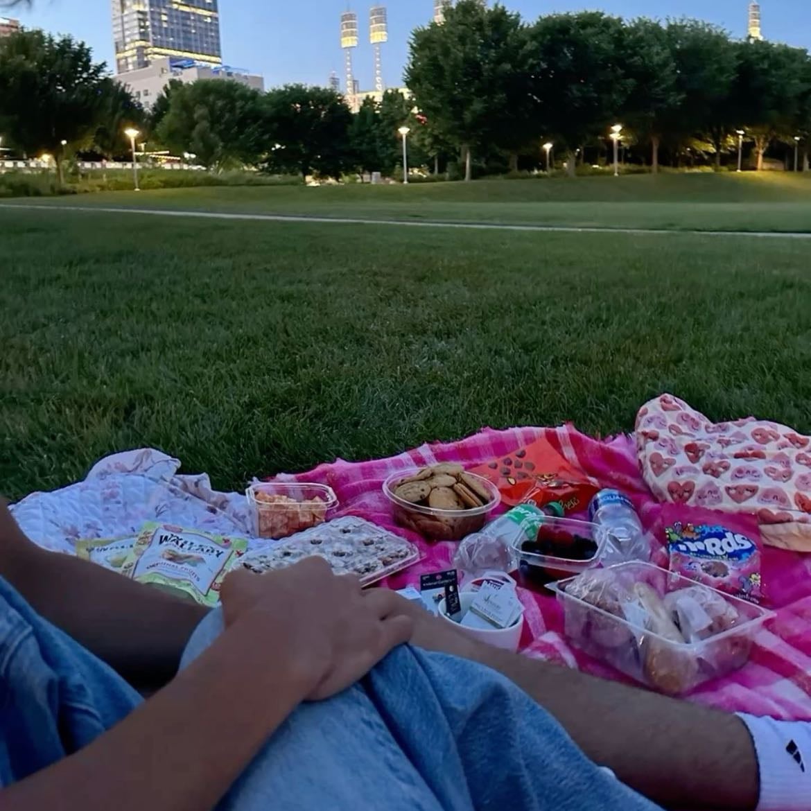 Picnic in the park
