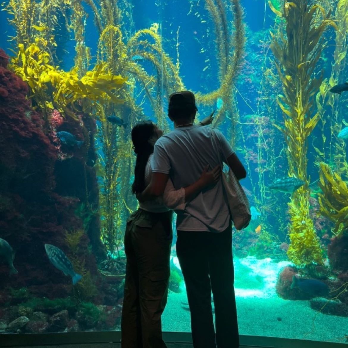Aquarium