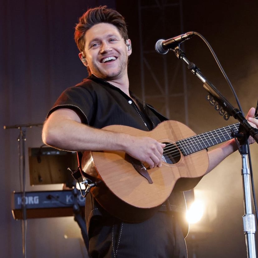 NIALL - Unproblematic king definition of comfort celebrity just love him like how can you not science helped me get through so much and him in general