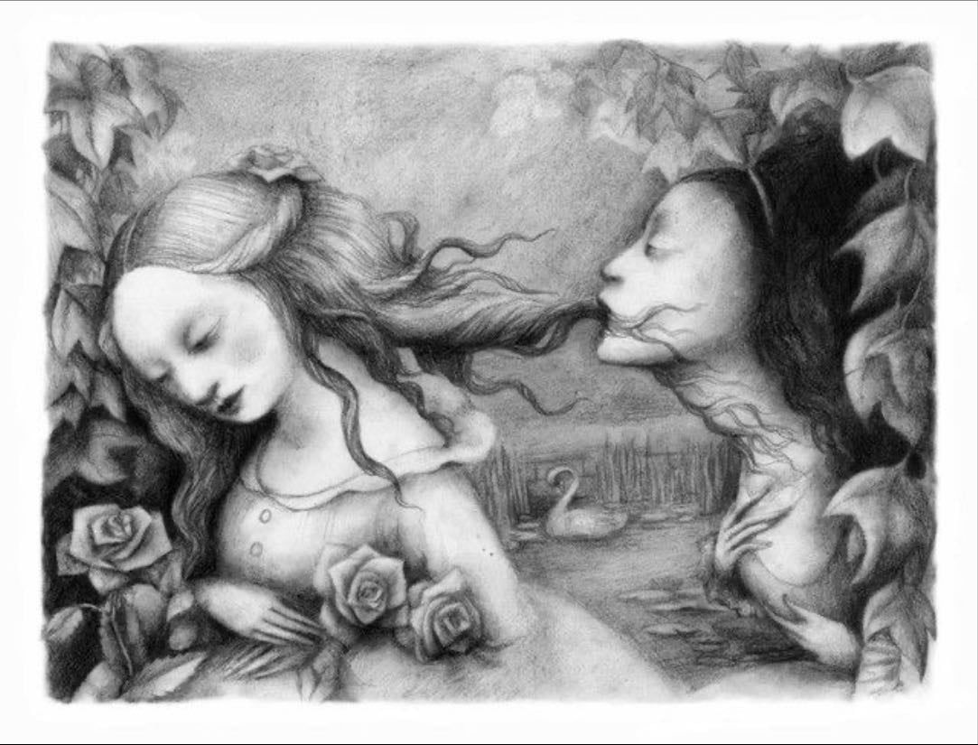 Libros de ilustración - VARIADO