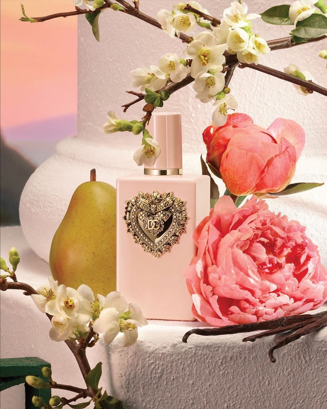 My Devotion - DOLCE & GABBANA