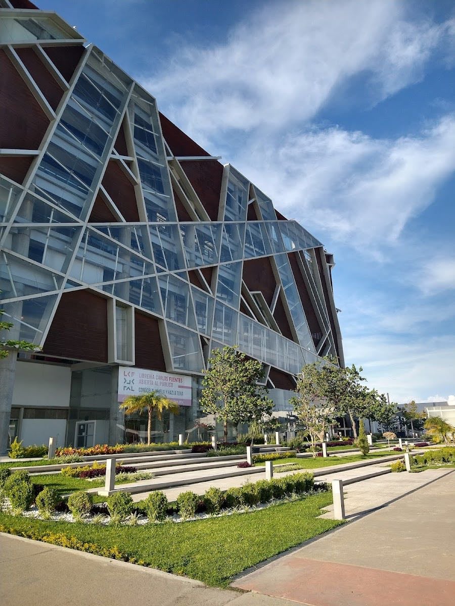 Cineteca FICG
