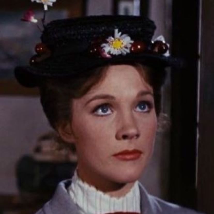 Mary Poppins - A magical and whimsical figure who combines charm, discipline, and kindness. With her no-nonsense attitude and playful side, she brings joy and structure to the childrenâs lives. Her blend of practicality and magic encourages imagination and valuable life lessons, all while maintaining an air of mystery. Mary Poppins remains a symbol of warmth, wonder, and the power of kindness.