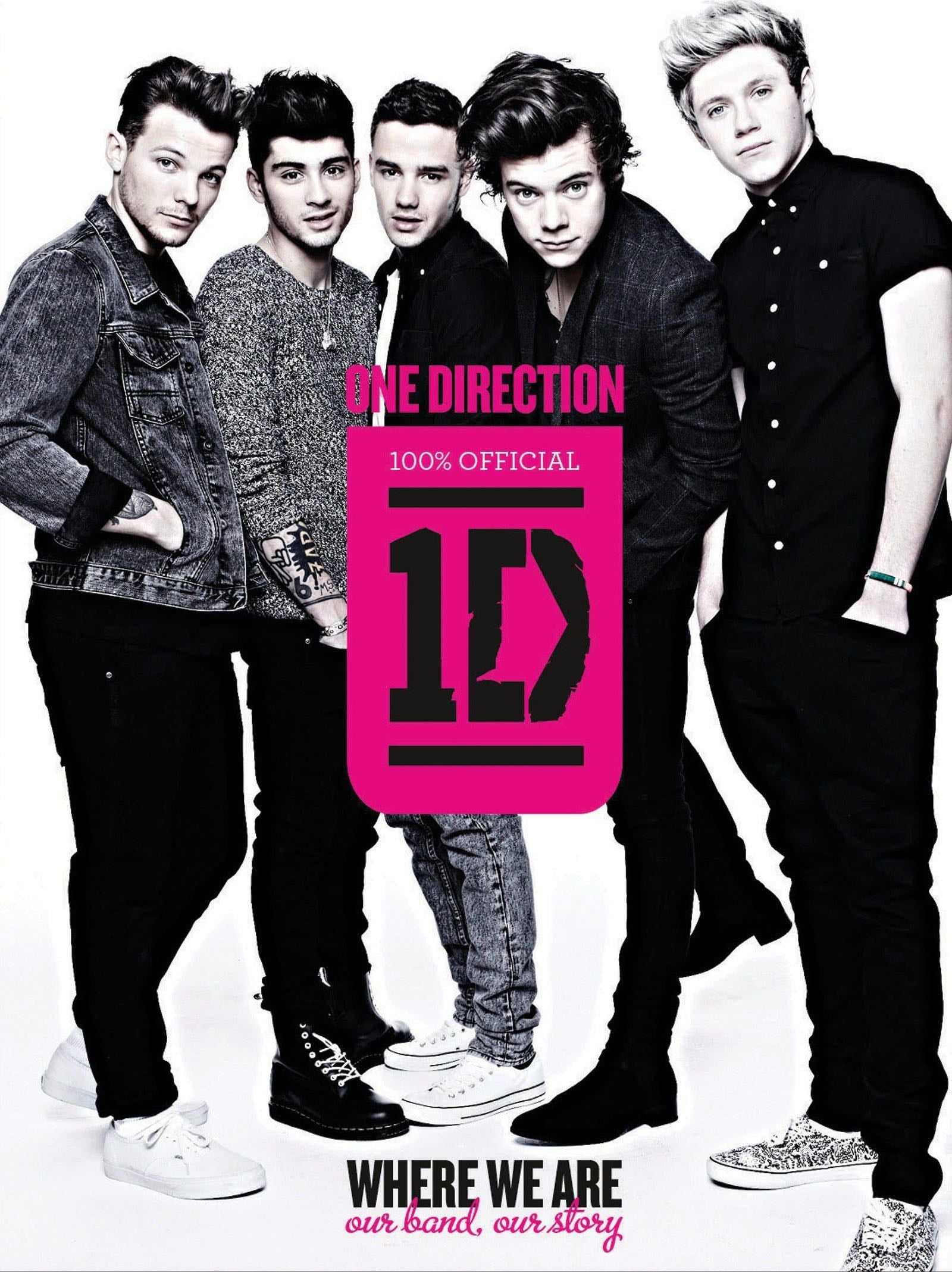 One Direction: Where We Are: Our Band, Our Story: 100% Official - One Direction · 2013