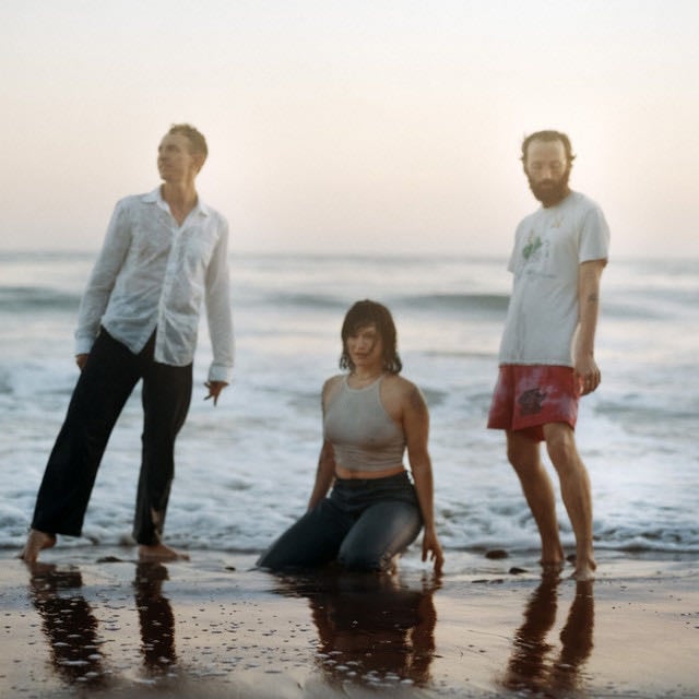 Big Thief - Artist