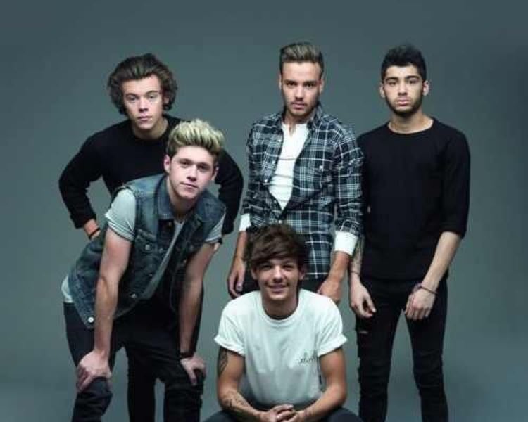 One Direction/solo merch i want