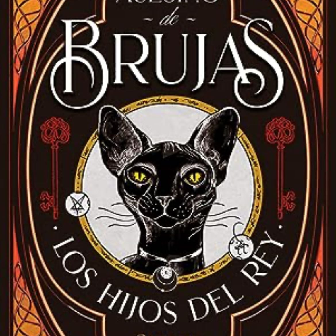 Asesino de brujas: Los hijos del rey - Shelby Mahurin