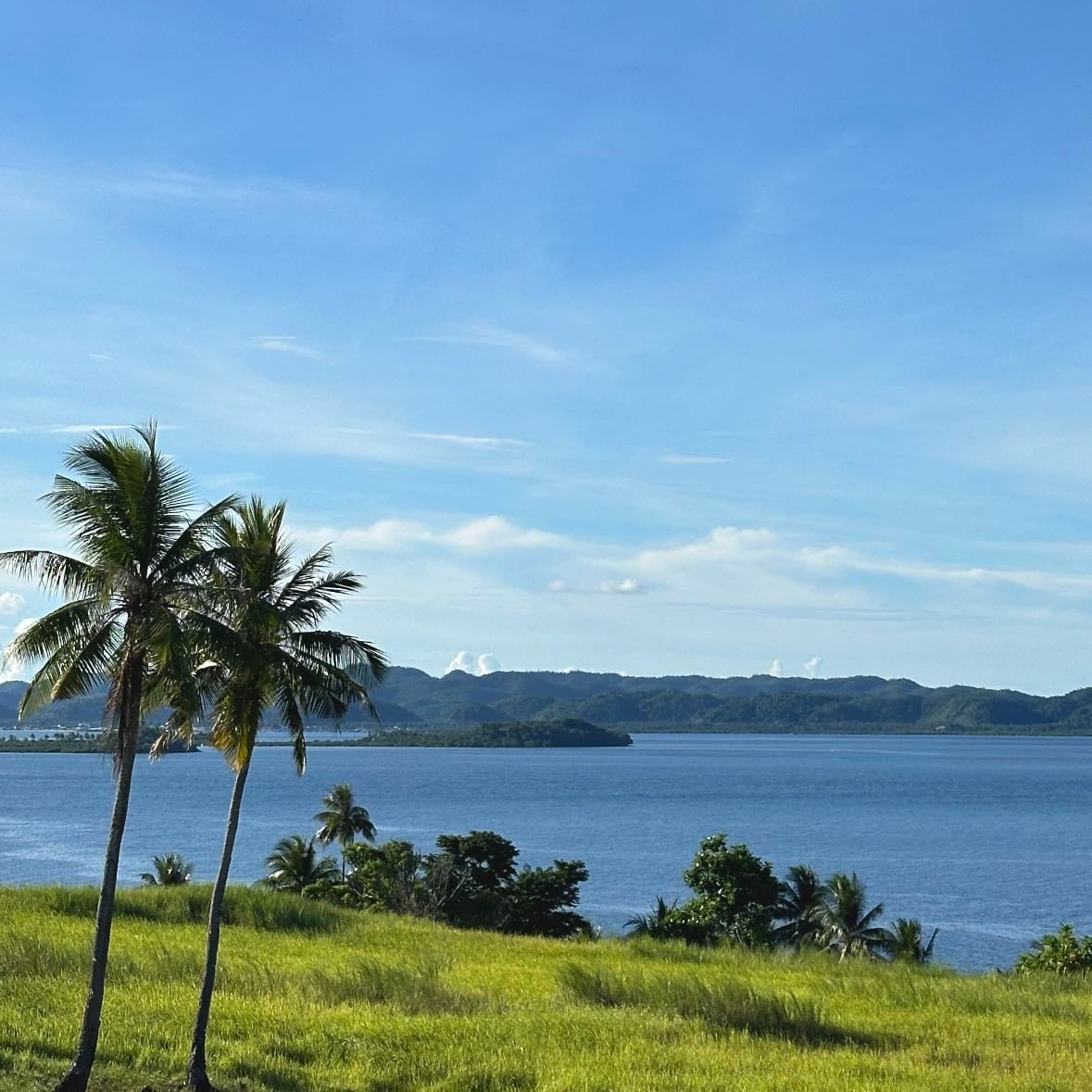 Corregidor