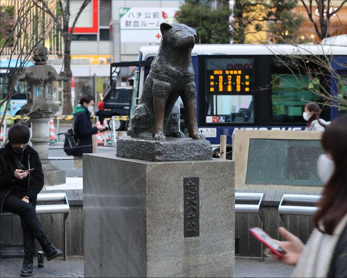 Hachikō