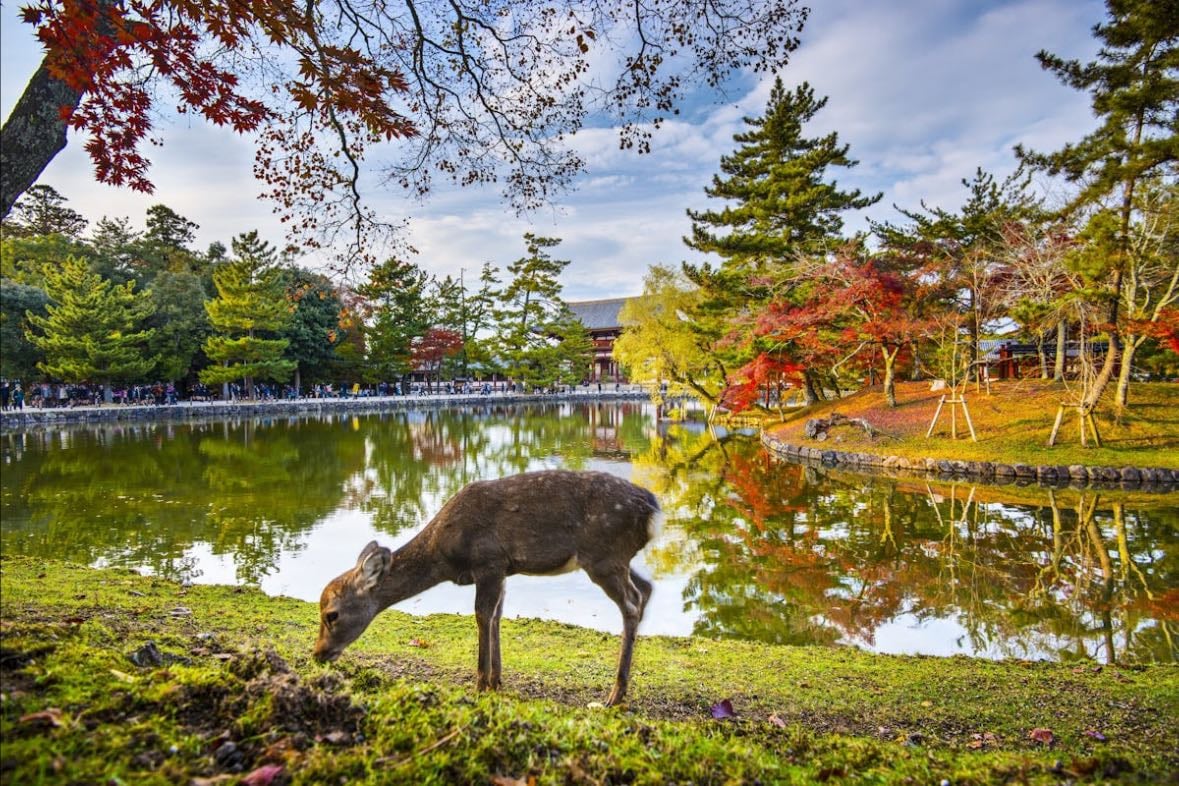 Noborioji Park