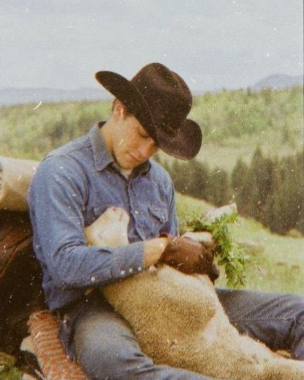 Brokeback Mountain - Ang Lee · 2005