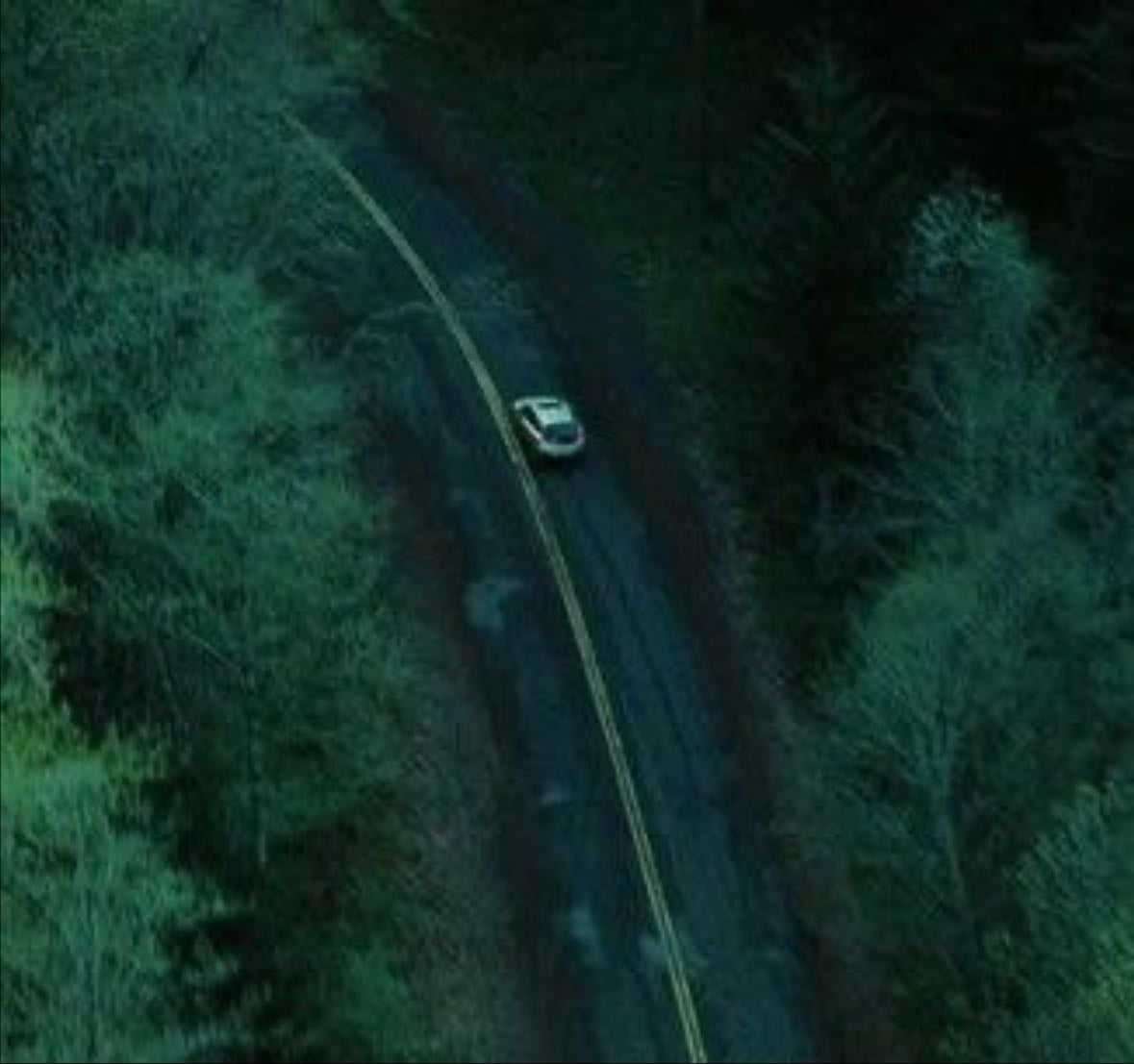 Twilight - Catherine Hardwicke · 2008