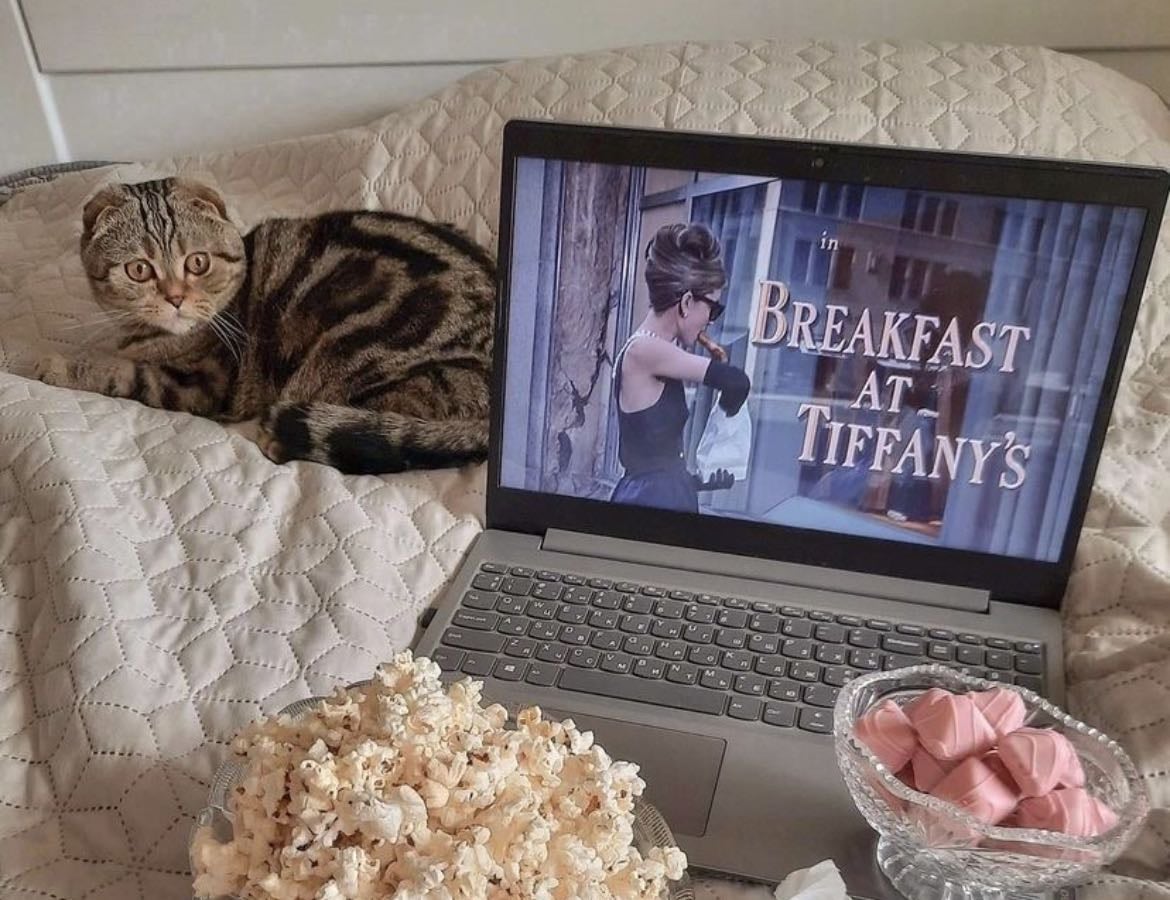 120 Filmes que deberías ver al menos una vez 🎞️✨