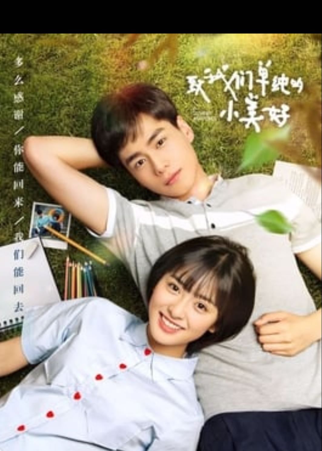 A Love So Beautiful - Zhao Qian Qian · 2017