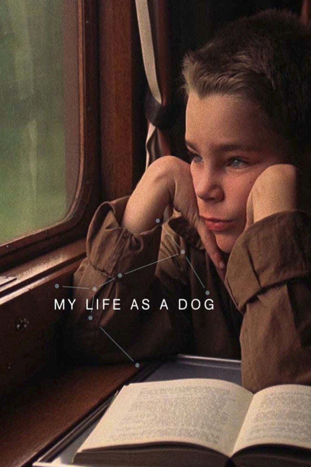 My Life as a Dog - Lasse Hallström · 1985