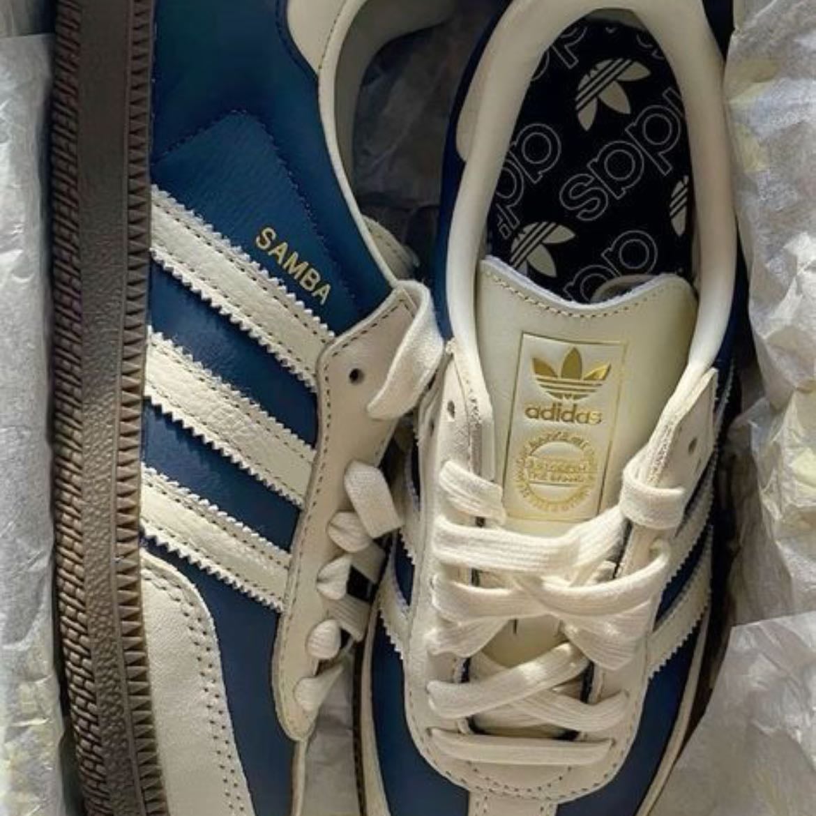 blue & white samba