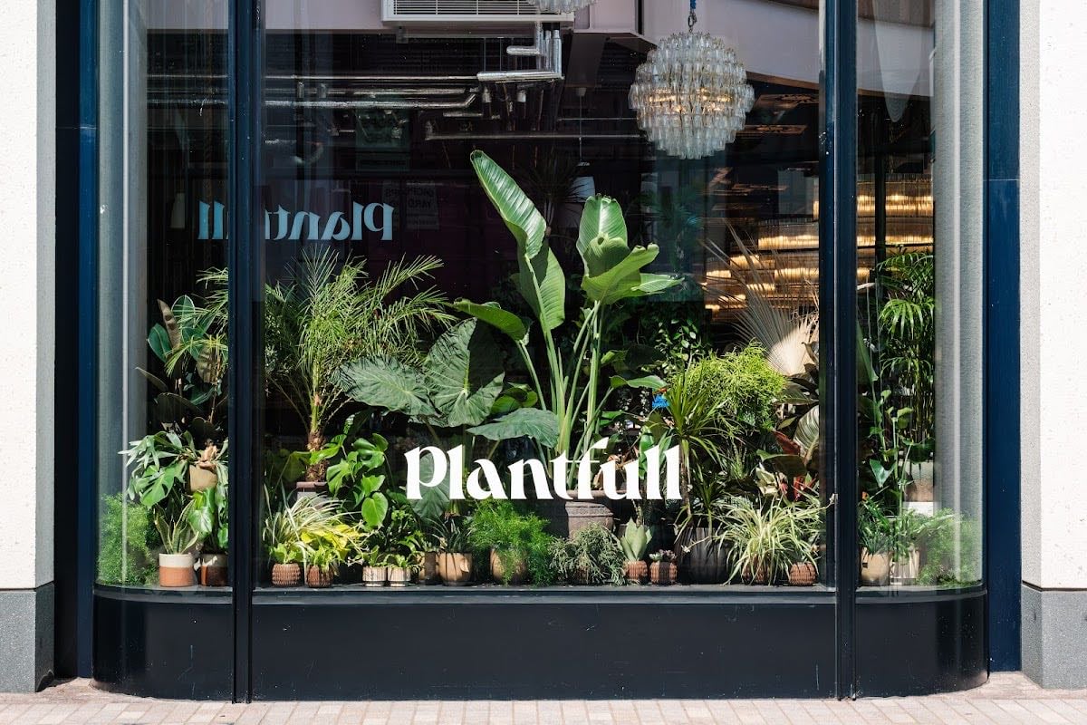 Plantfull - kc piyasasi decent mekan