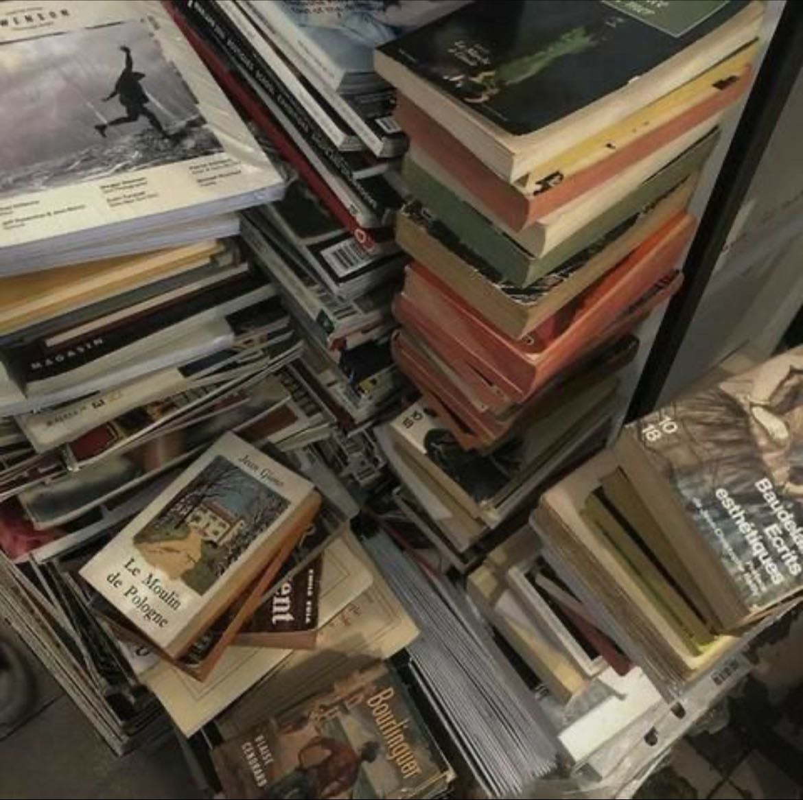 Chaotic book stacks are literally her room