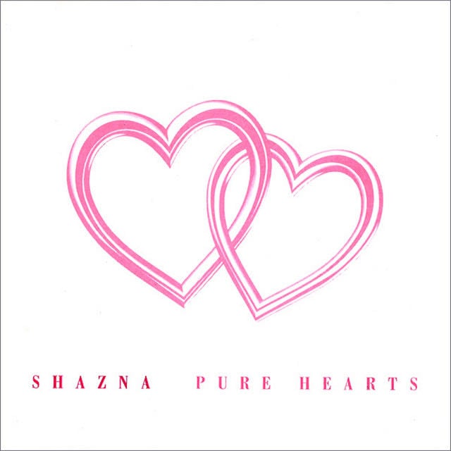 Virgin - Song · SHAZNA