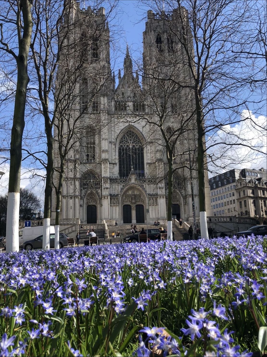 The Cathedral of St. Michael and St. Gudula