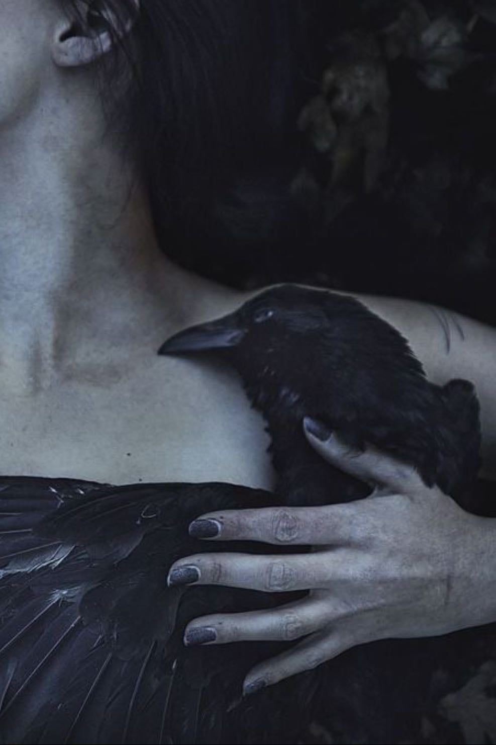 The Raven - Edgar Allan Poe · 1845
