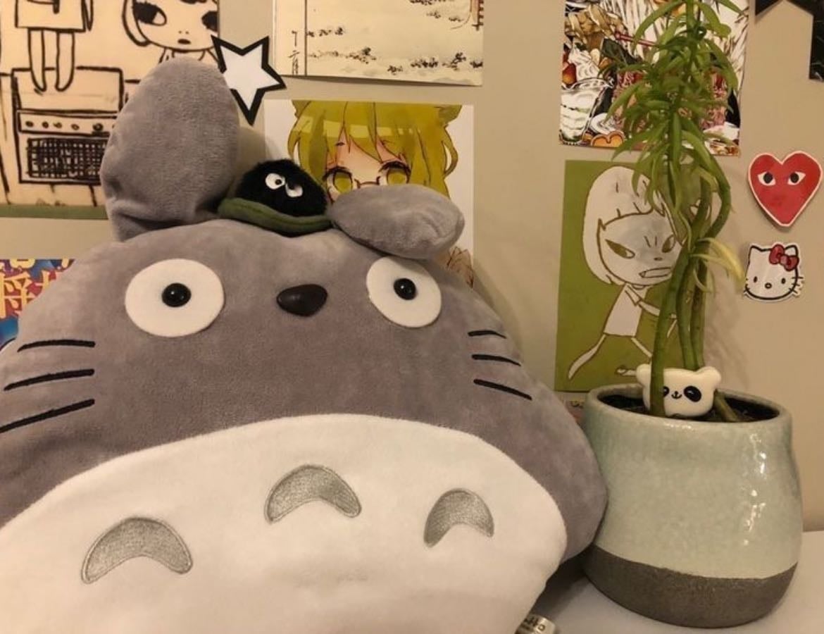 anime 🐢