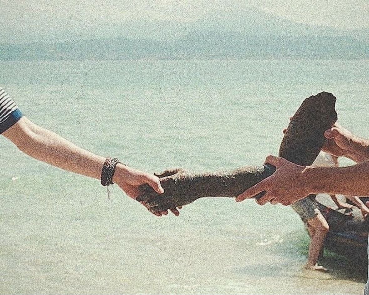 Call Me by Your Name - Luca Guadagnino · 2017